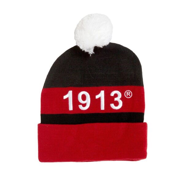 Embroidered Knit Beanie - Image 15