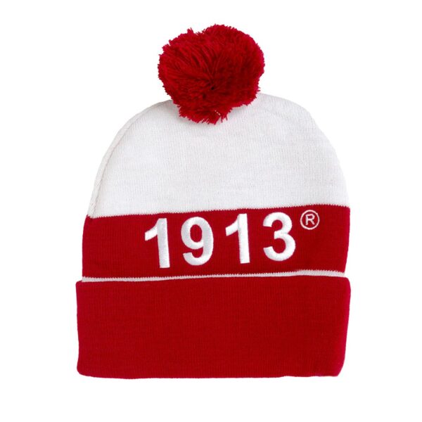 Embroidered Knit Beanie - Image 13