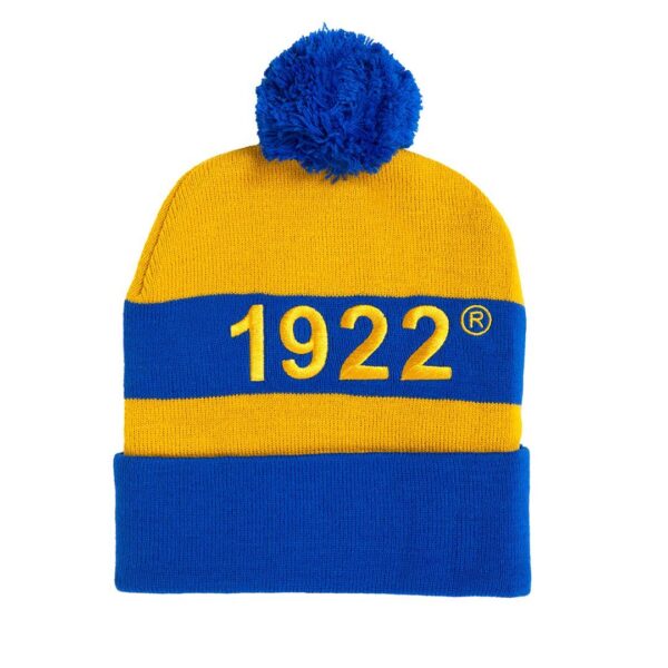 Embroidered Knit Beanie - Image 22