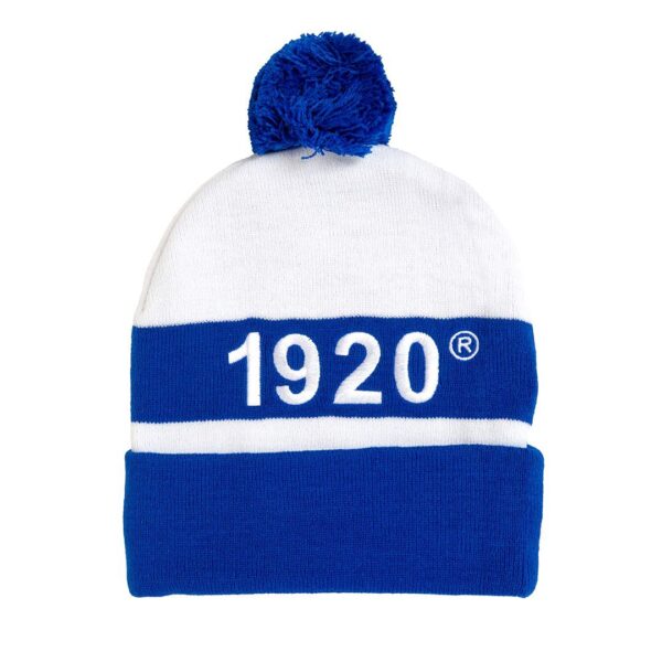 Embroidered Knit Beanie - Image 24