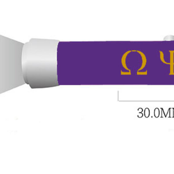 Torch Light Key Ring - Omega Psi Phi