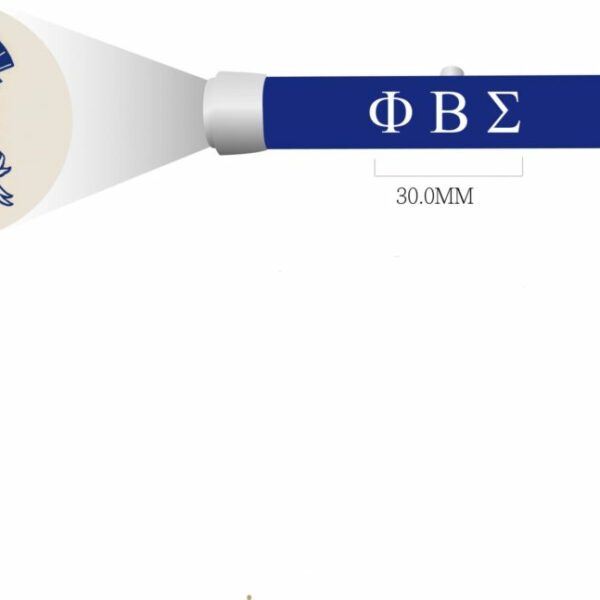 Torch Light Key Ring - Phi Beta Sigma