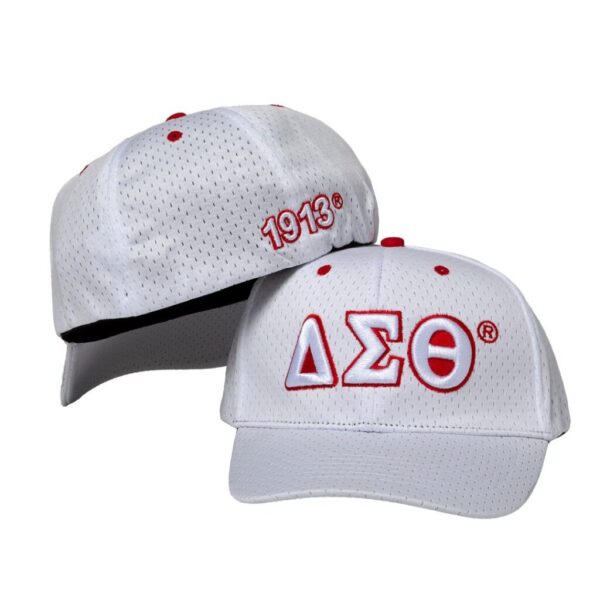 Mesh Cap - Delta Sigma Theta, White