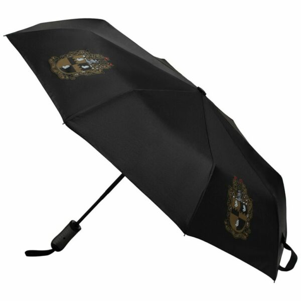 Mini Hurricane Umbrella - Alpha Phi Alpha, Black